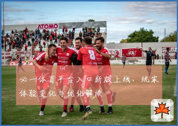 必一体育平台入口新版上线，玩家体验变化与优化解读