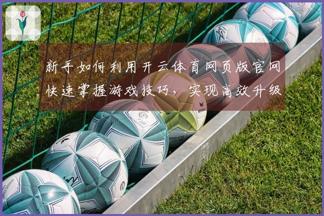 新手如何利用开云体育网页版官网快速掌握游戏技巧，实现高效升级